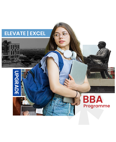 About Online BBA Programme at Manav Rachna Online
